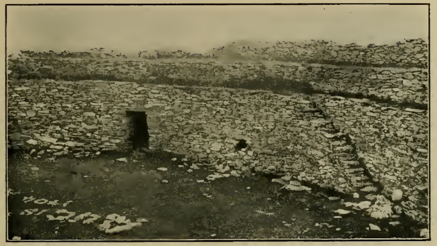 An Grianán of Aileach interior 1915