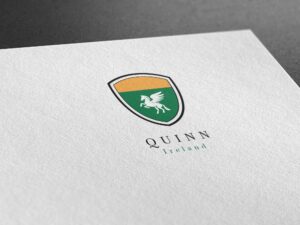 Quinn: family name history