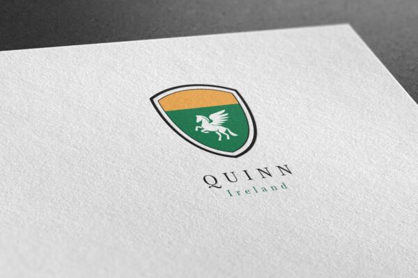 Quinn: family name history