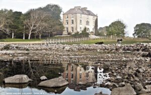 Ross Castle, Co. Galway