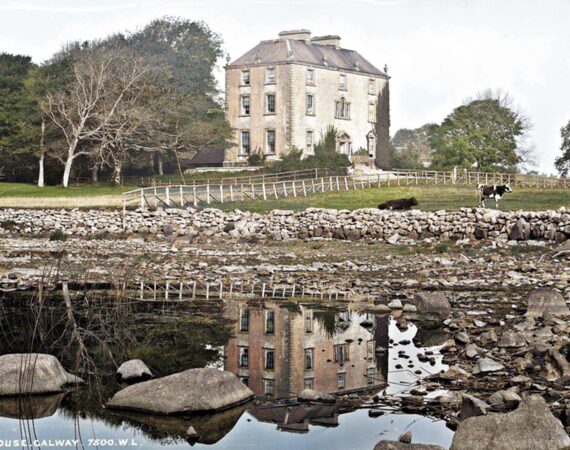 Ross Castle, Co. Galway