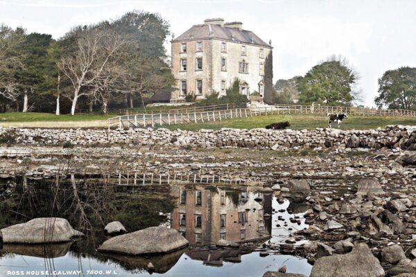 Ross Castle, Co. Galway