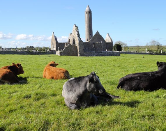 Galway - Gort - Kilmacduagh Round Tower and Monastery